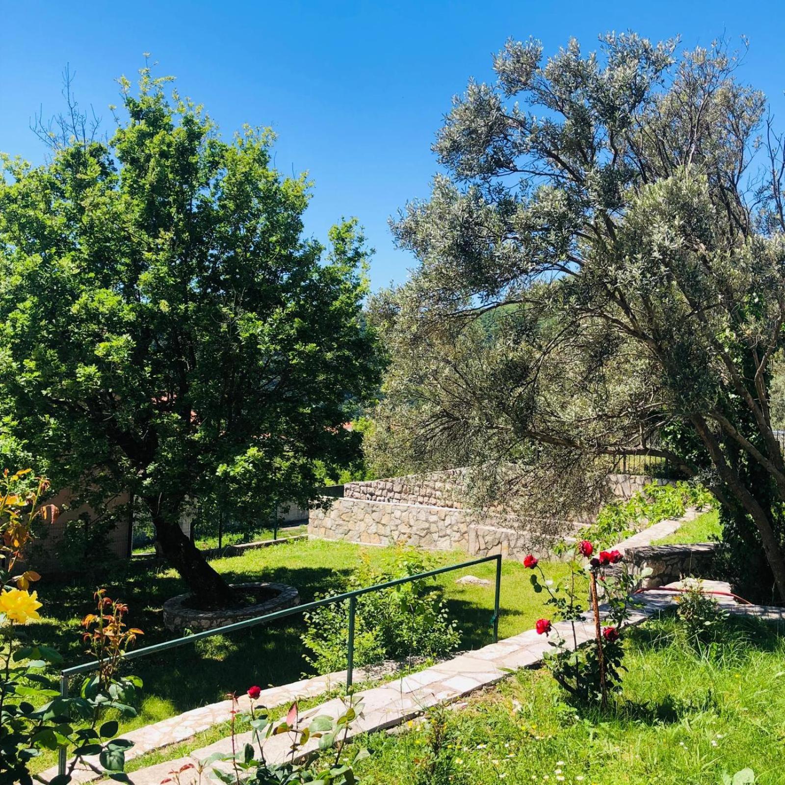 Vila Oaza Markovici Budva Luaran gambar